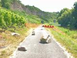 Enztal-Radweg in Mühlhausen wieder entsperrt 