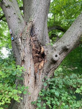 Ausbruch im sogenannten Zwiesel.